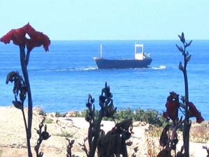 paphos cyprus