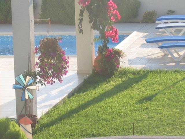 villa8-pafos villas Bungalow 